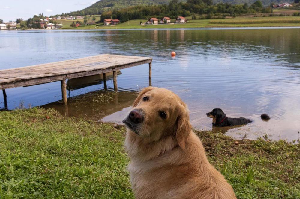 Kuca Za Odmor Jezero Villa Ogulin Exterior foto
